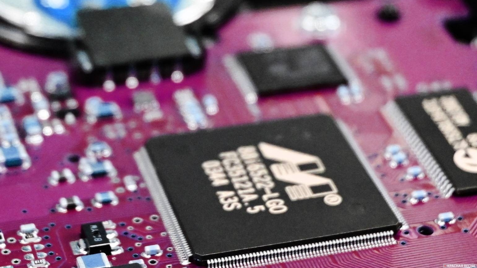 Чип и микрочипы