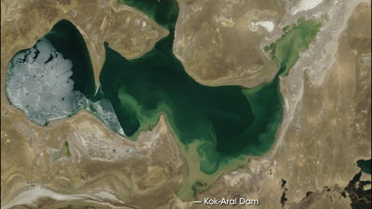 Плотина Северного Арала. Спутниковый снимок