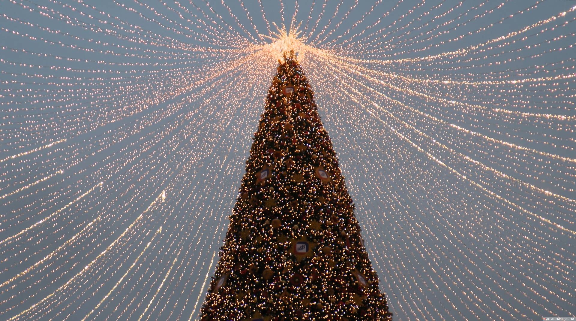 Новогодняя ель на Лубянской площади. Москва.