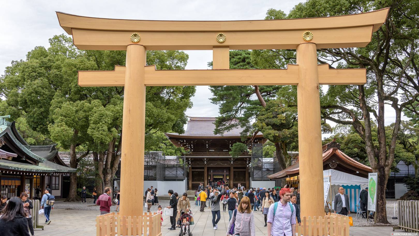 Ворота тории, Храм Мэйдзи, Токио, Япония 29.10.2016
