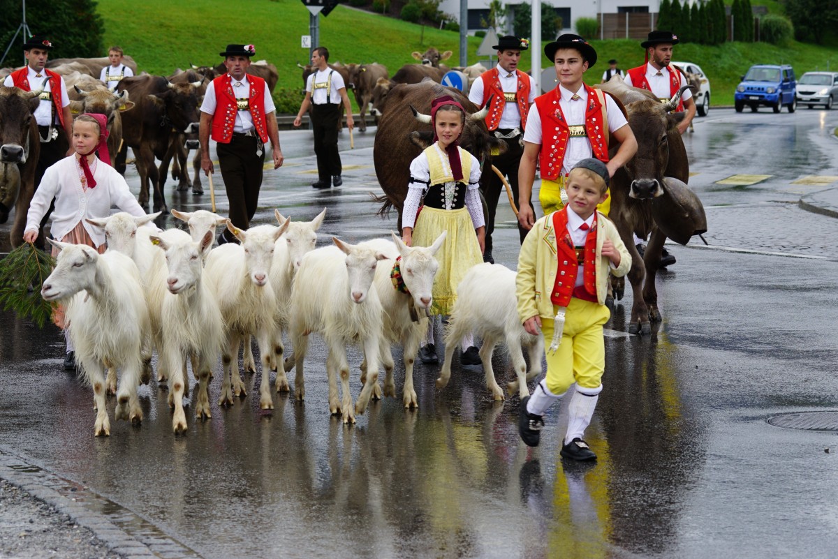 Парад швейцарских фермеров
