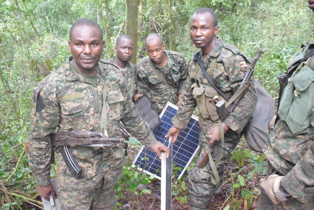 Бойцы ВС Уганды в ходе операции в ДРК