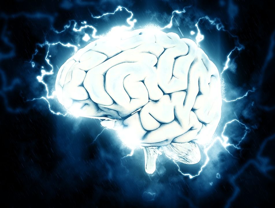 мозг, электрические, знаний