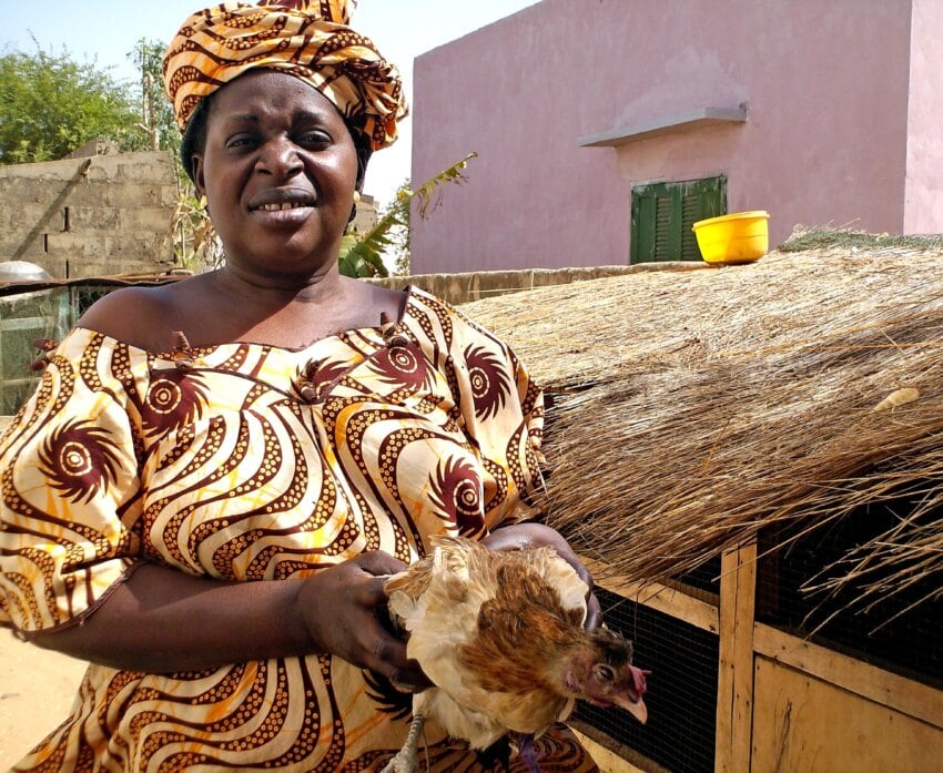 Заводчица кур в Африке