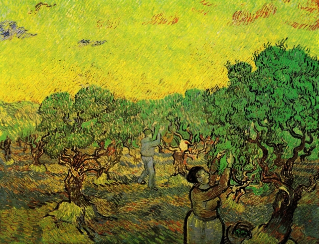 Винсент Ван Гог. Сбор урожая оливок. 1889