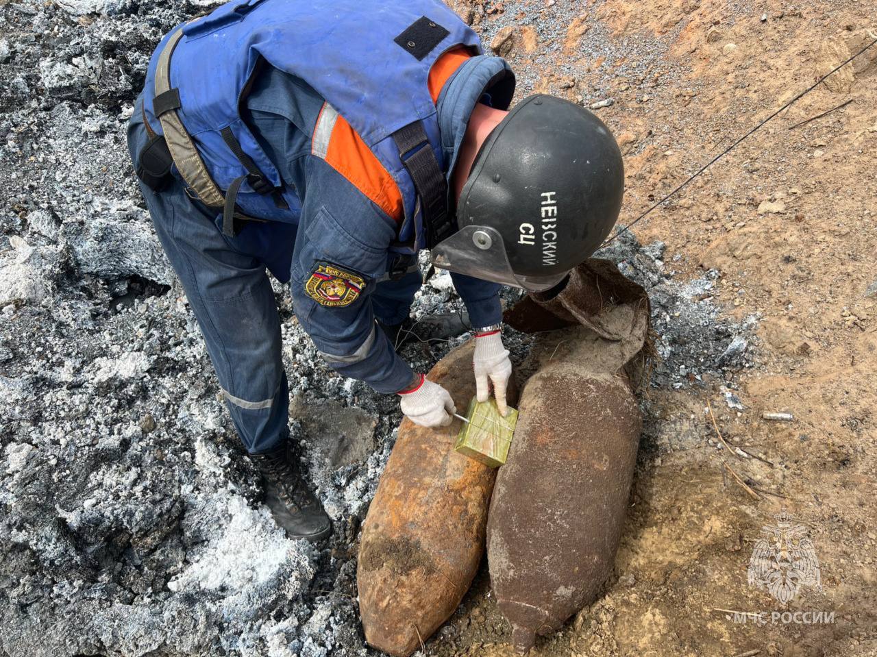 В Калининградской области нашли две авиабомбы весом по 100 кг