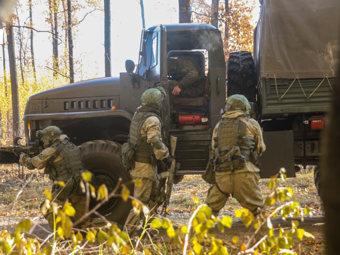 Военные (сс) мультимедиа.минобороны.рф