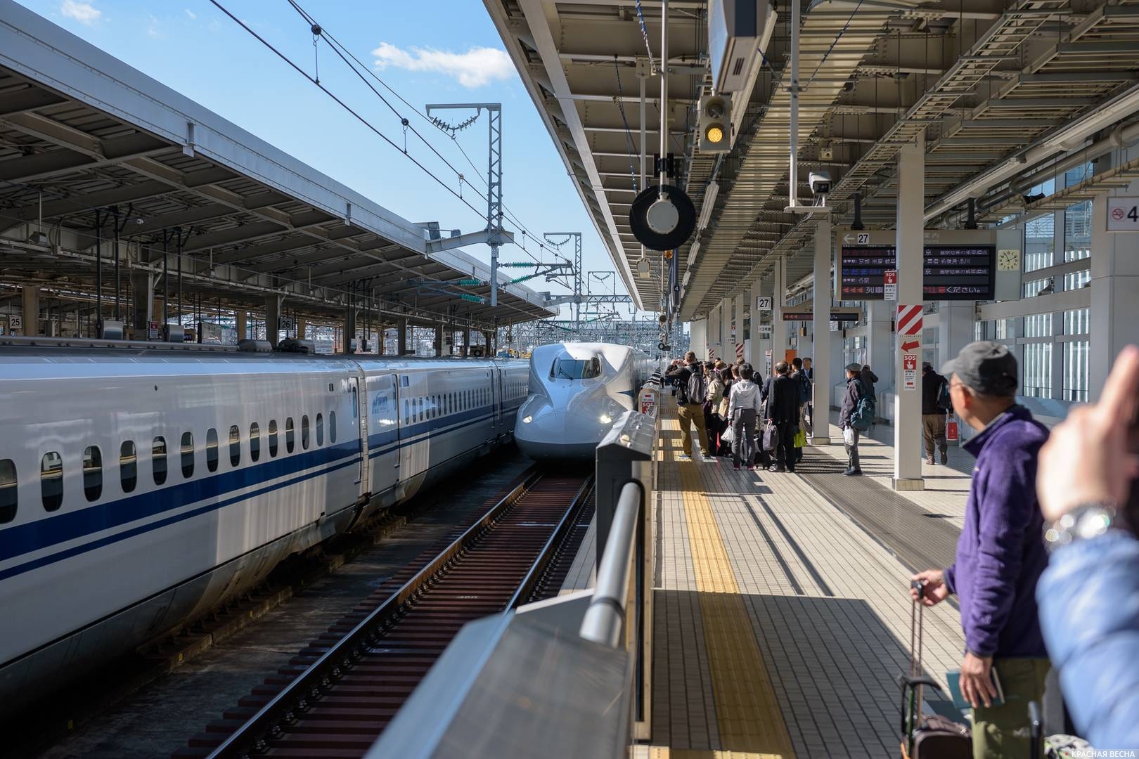 Скоростной поезд Синкансэн, Осака, Япония 03.11.2016