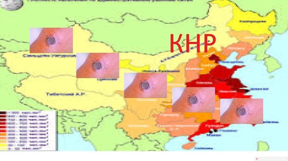 Могильники сибирской язвы карта