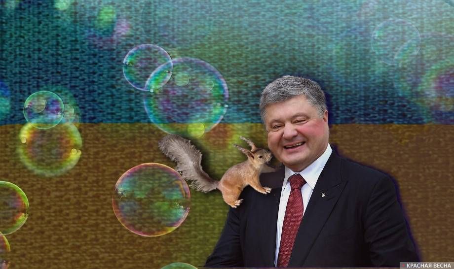 Порошенко. Украина. Порошенко и белка