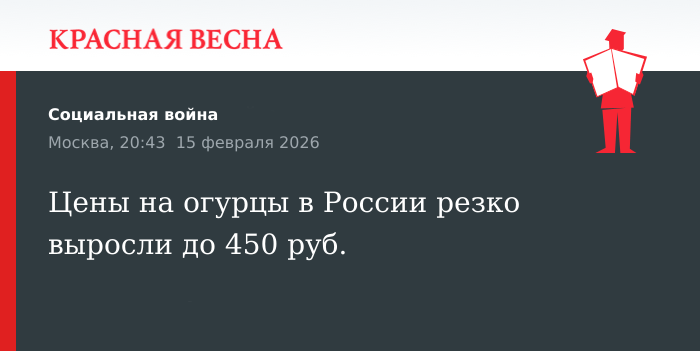 Цены на огурцы в России резко выросли до 450 руб.